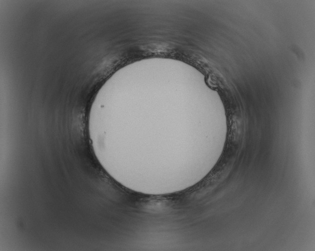 X0000116460612200912292008