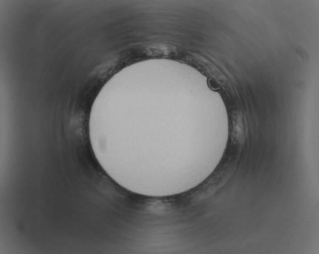 X0000116460616200912292008