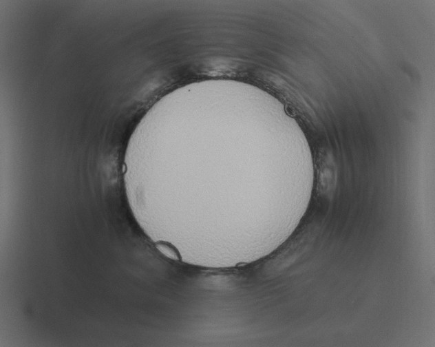X0000116460620200912292008