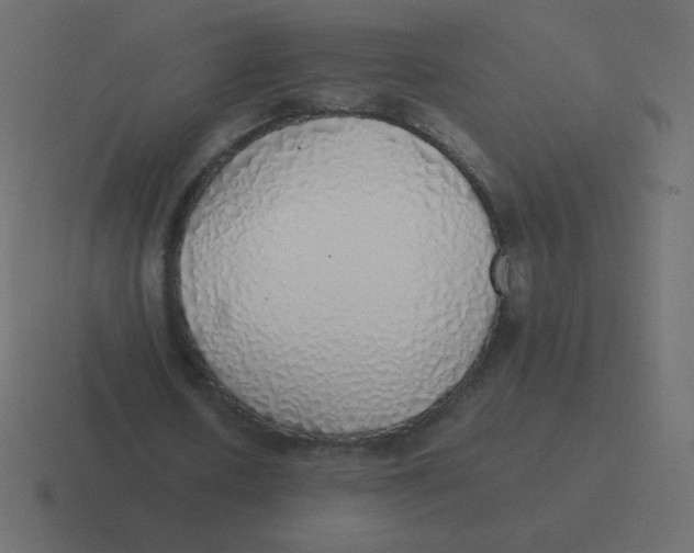 X0000116460626200912292008