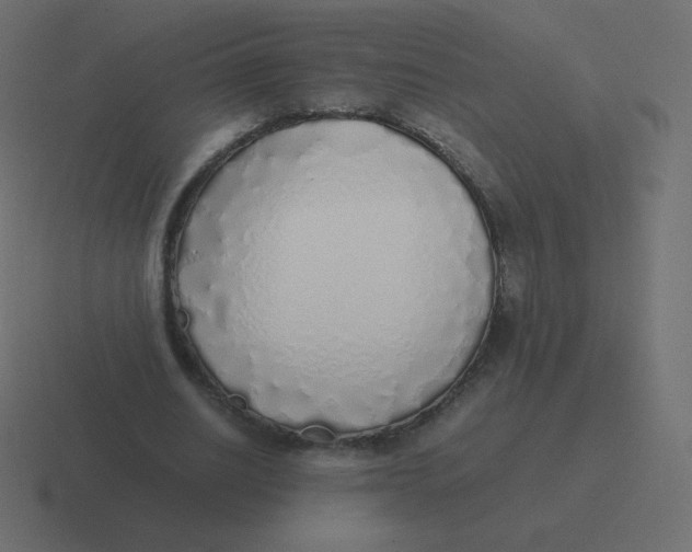 X0000116460630200912292008