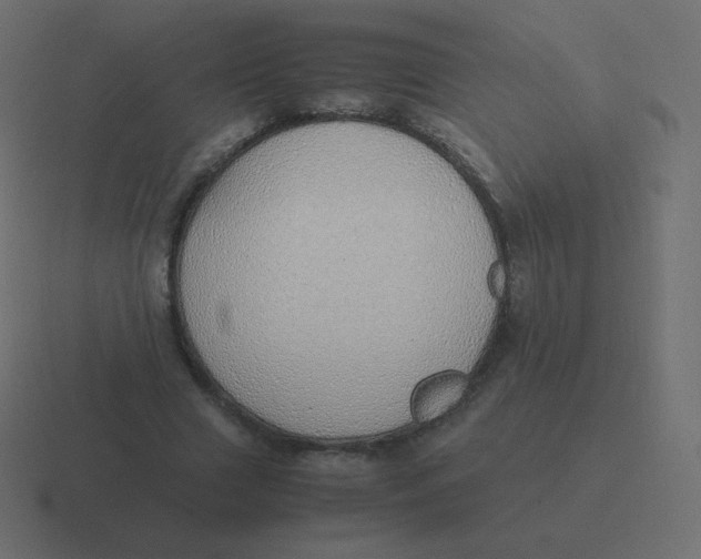 X0000116460633200912292008