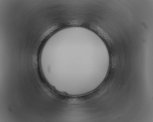 X0000116460634200912292008