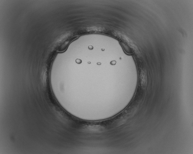 X0000116460637200912292008