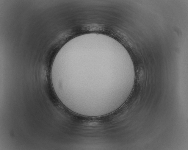 X0000116460643200912292008