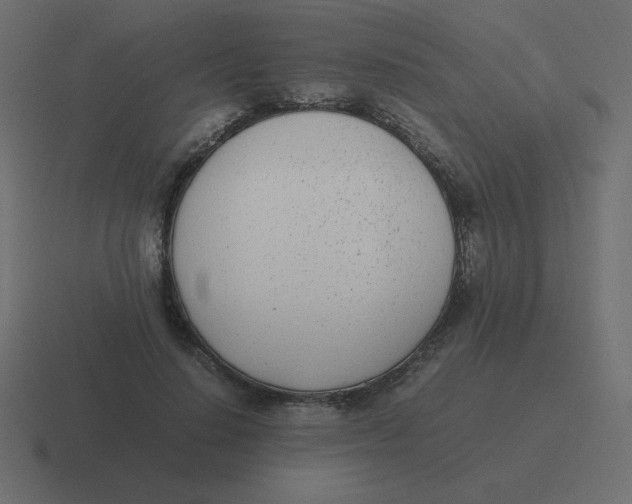 X0000116460644200912292008