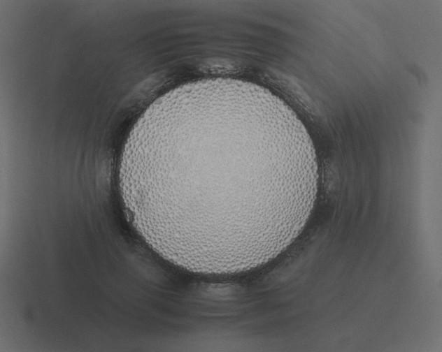 X0000116460645200912292008