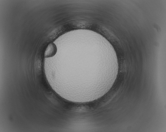 X0000116460646200912292008
