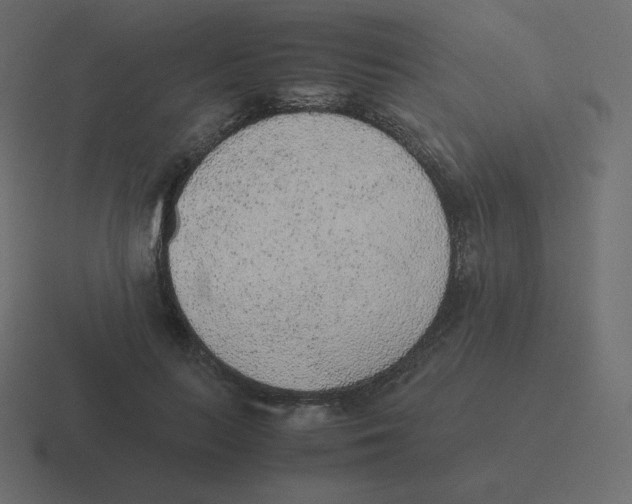 X0000116460647200912292008