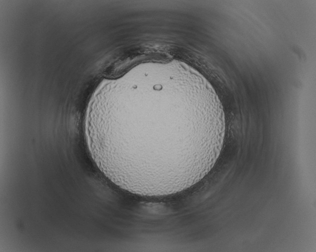 X0000116460649200912292008