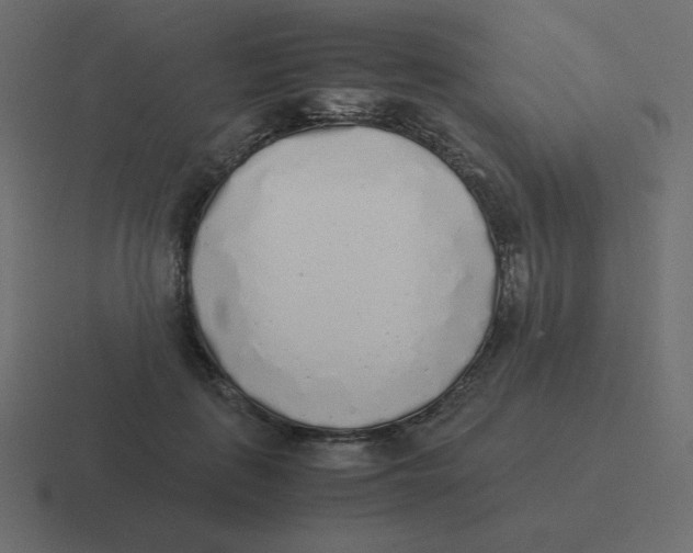X0000116460651200912292008