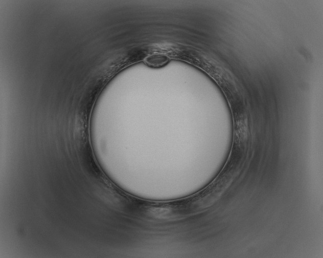 X0000116460653200912292008