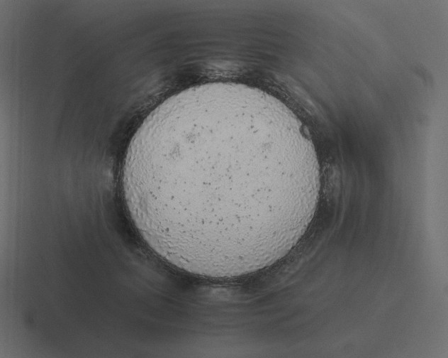 X0000116460655200912292008