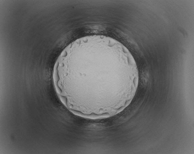 X0000116460657200912292008
