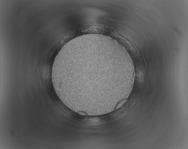 X0000116460665200912292008
