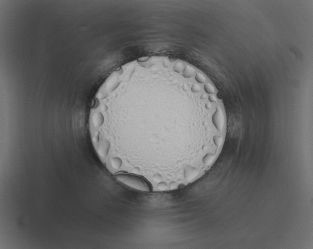 X0000116460670200912292008