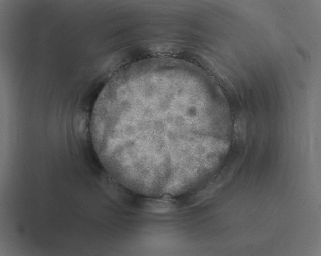 X0000116460671200912292008