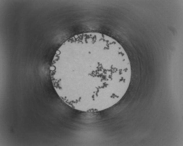 X0000116460672200912292008