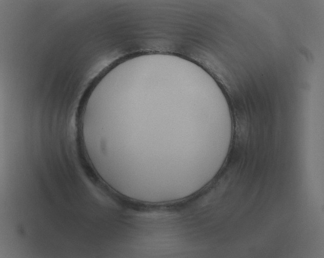 X0000116460674200912292008