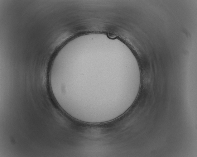 X0000116460677200912292008
