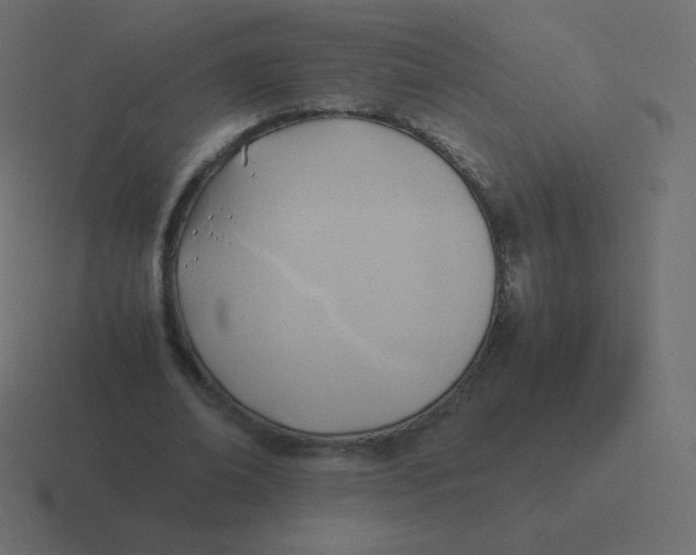 X0000116460678200912292008