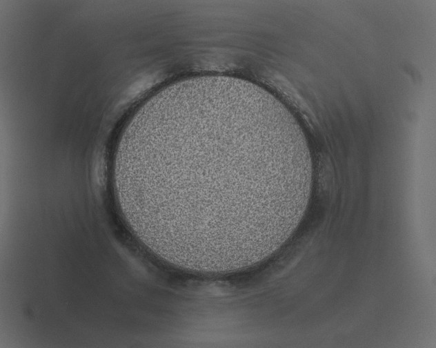 X0000116460683200912292007