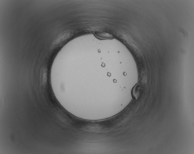X0000116460685200912292007