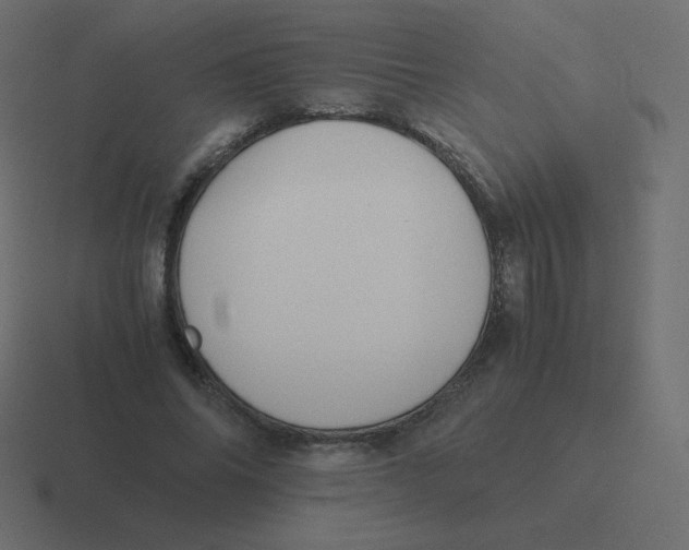 X0000116460686200912292007