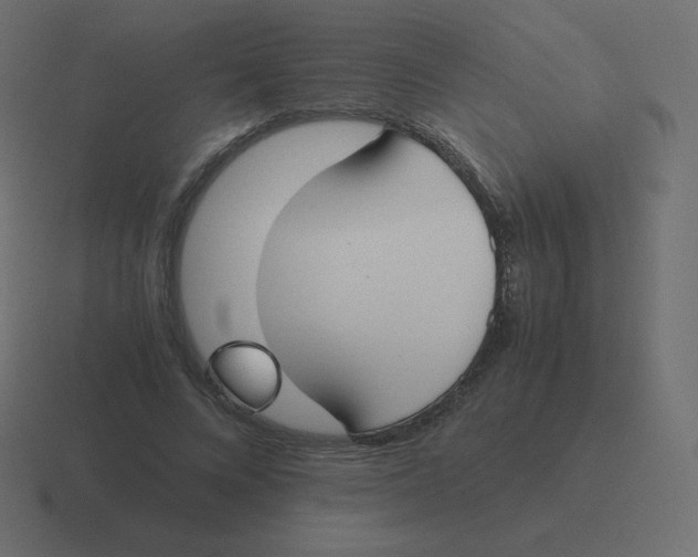 X0000116460688200912292007
