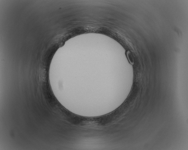X0000116460689200912292007