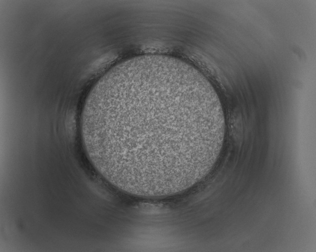 X0000116460690200912292007