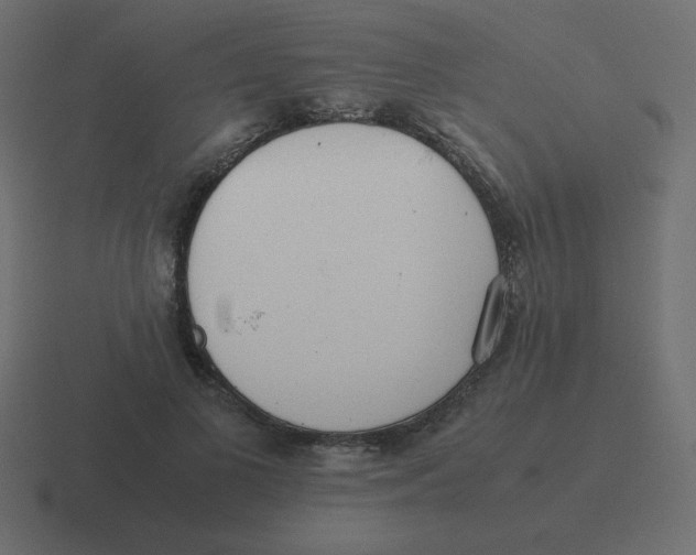 X0000116460693200912292007