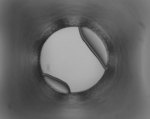 X0000116460697200912292007