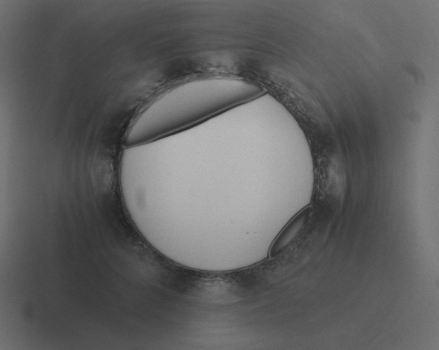 X0000116460704200912292007