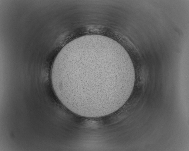 X0000116460706200912292007