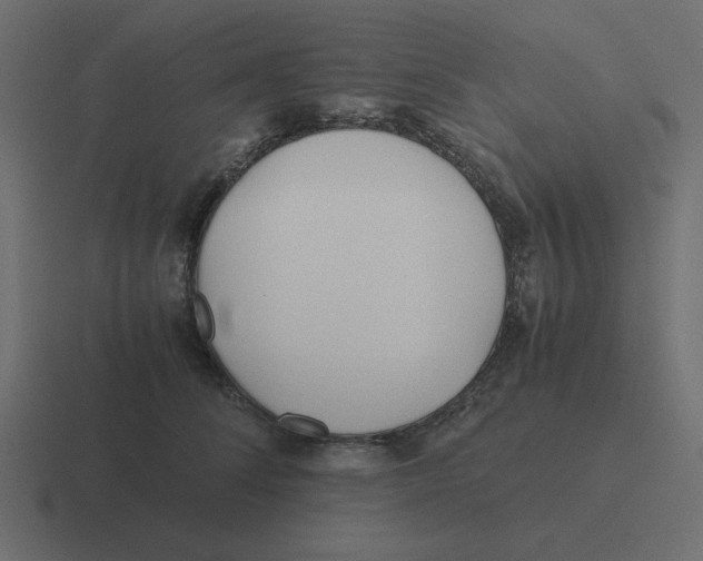 X0000116460708200912292007