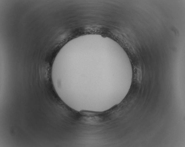 X0000116460712200912292007