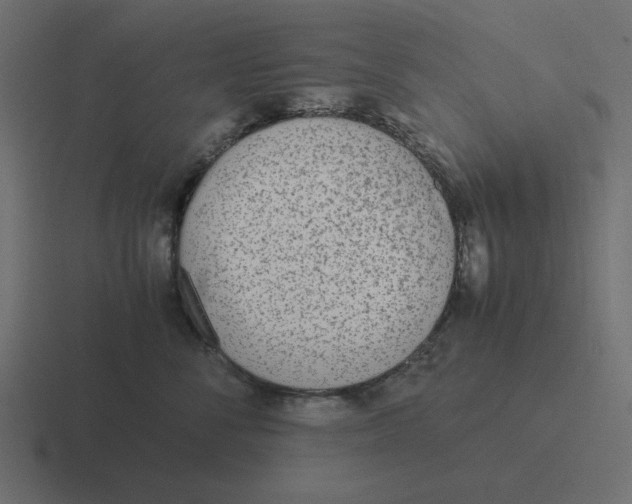 X0000116460716200912292007