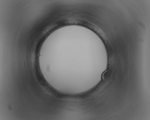 X0000116460722200912292006