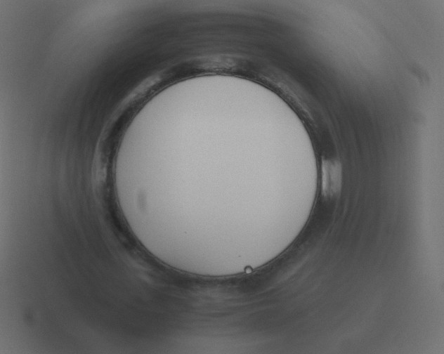 X0000116460723200912292006