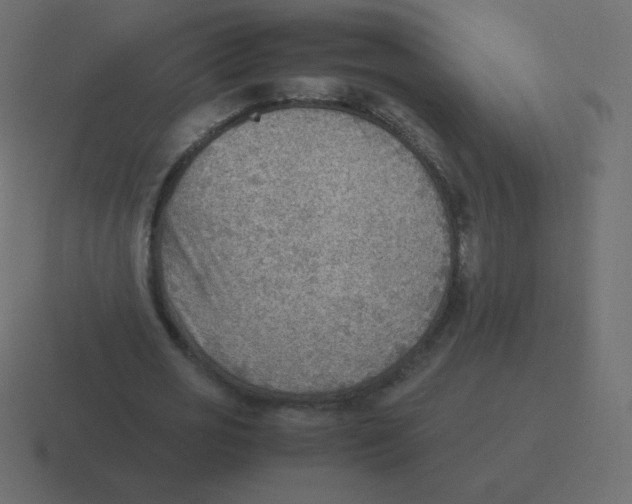 X0000116460725200912292006