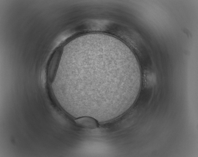 X0000116460726200912292006