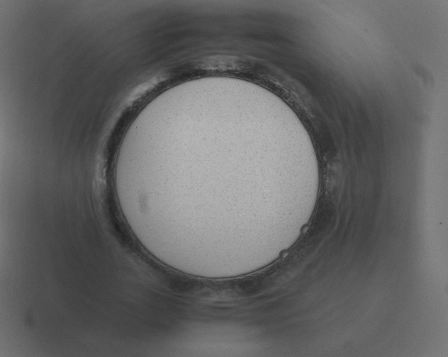 X0000116460727200912292006