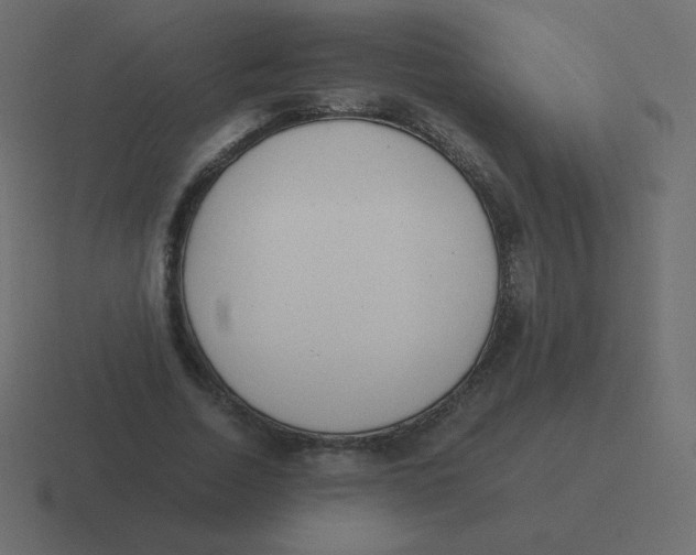 X0000116460730200912292006