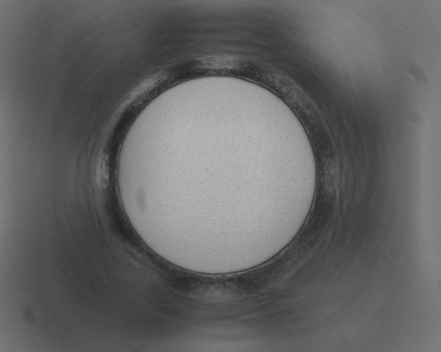 X0000116460731200912292007