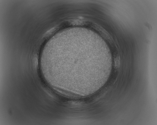 X0000116460733200912292007