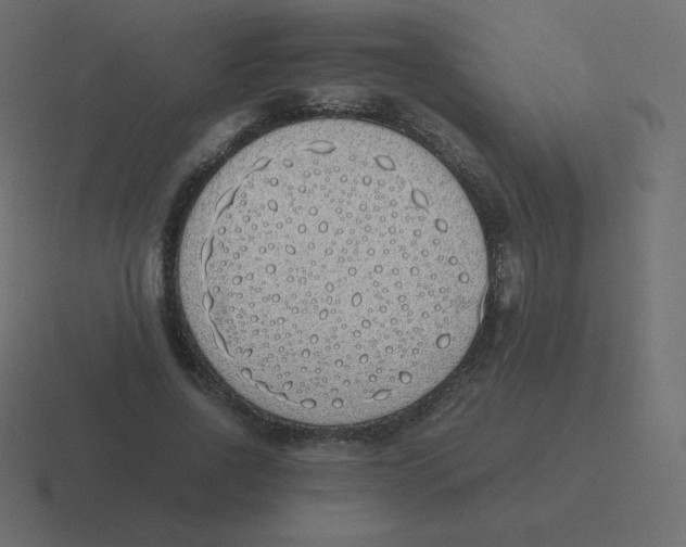 X0000116460734200912292007