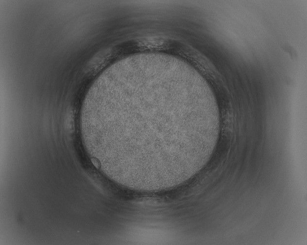 X0000116460738200912292007