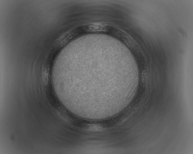 X0000116460741200912292007