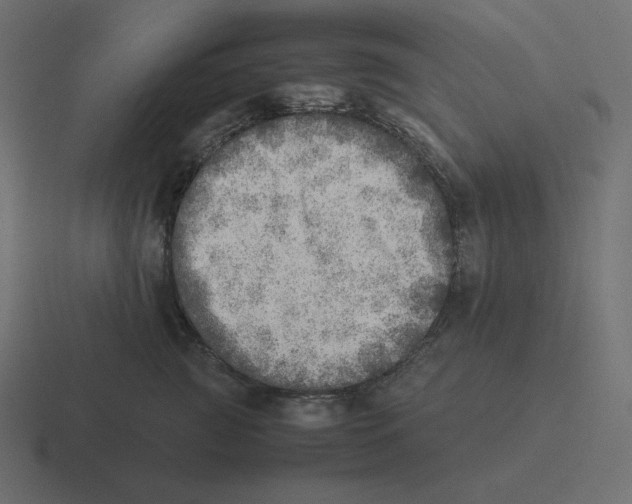 X0000116460761200912292007